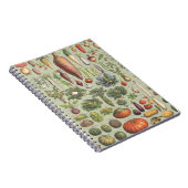 庭へのフランスのなガイド ノートブック (右側)