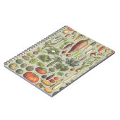 庭へのフランスのなガイド ノートブック (左側)