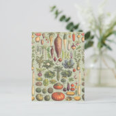 庭へのフランスのなガイド ポストカード (スタンド正面)