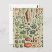 庭へのフランスのなガイド ポストカード (正面/裏面)