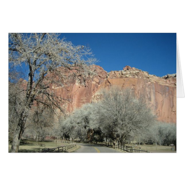 庭への道 (正面横)