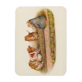 庭をがちであるモルモット マグネット (縦)