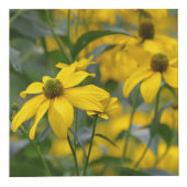 庭エレガント園花の写真または画像 フォトキューブ (右)