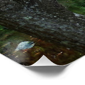 庭カラフル池の四季折々 ポスター (コーナー)