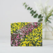 庭カラフル葉書 ポストカード (スタンド正面)