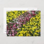 庭カラフル葉書 ポストカード (正面/裏面)