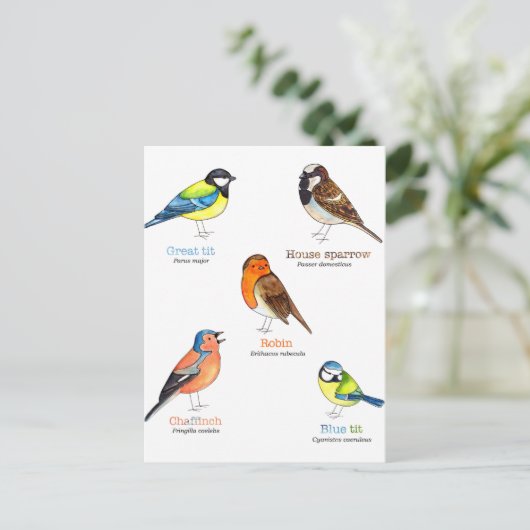 庭カラフル鳥 ポストカード (スタンド正面)