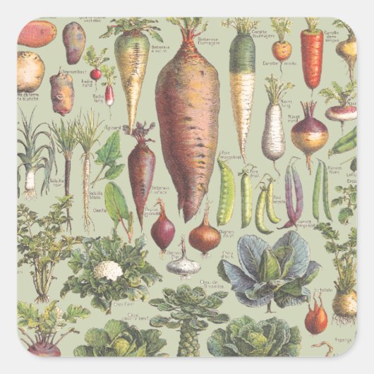 庭フランスののガイド スクエアシール (正面)