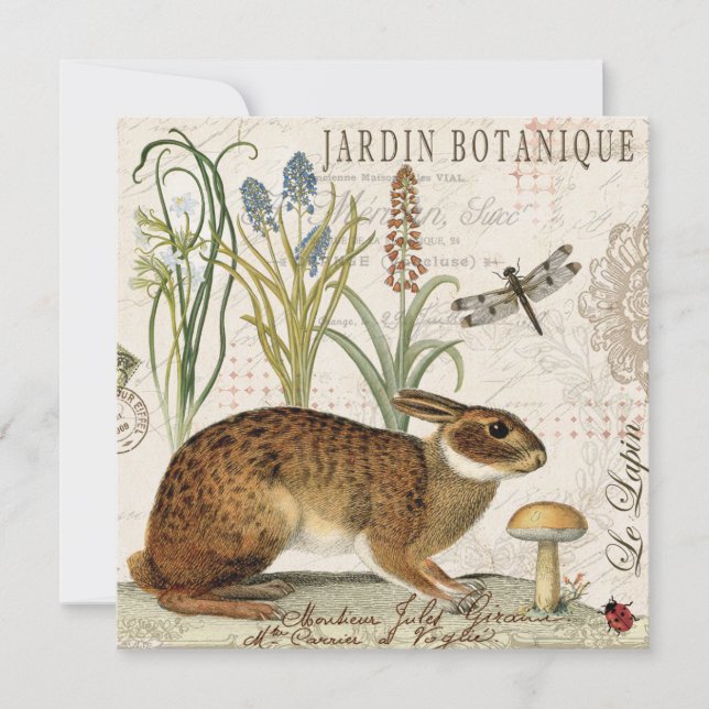 庭モダンフランスののヴィンテージウサギ (正面)