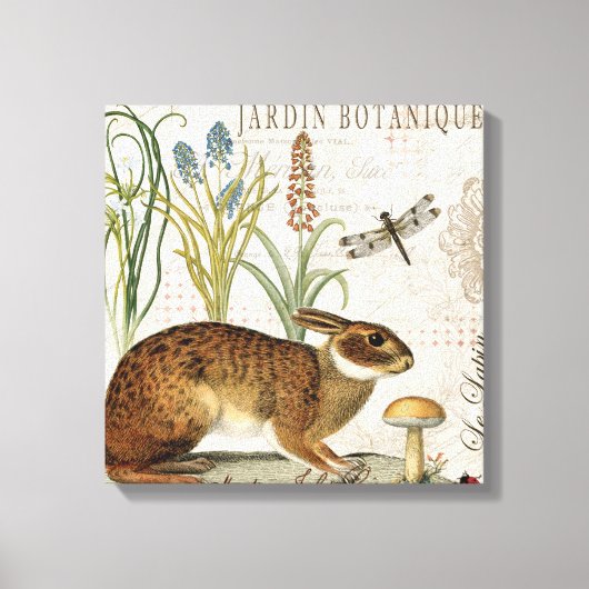 庭モダンフランスののヴィンテージウサギ キャンバスプリント (正面)