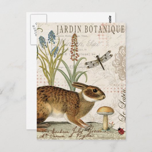 庭モダンフランスののヴィンテージウサギ ポストカード (正面/裏面)