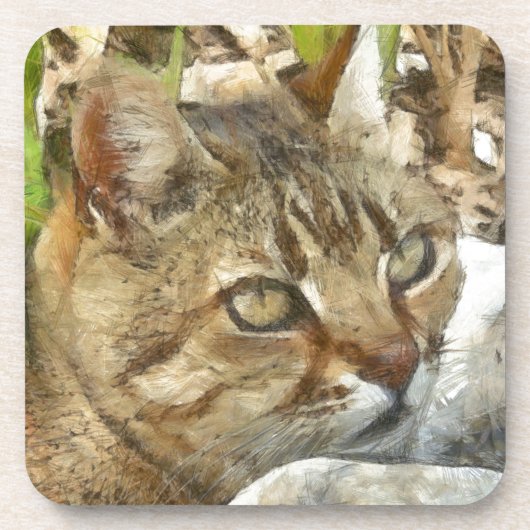 庭リラックスの鉛筆スケッチで休むタビー猫 コースター (正面)