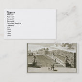 庭台地、Belvedere宮殿へのステップは、竸います 名刺 (正面/裏面)