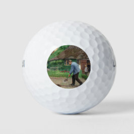 庭園での午後の作業（H.A.ブレンデキルデ著） ゴルフボール