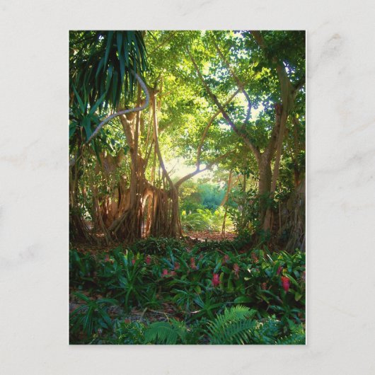 庭園の平和 ポストカード (正面)