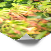 庭園の背景 ポスター (角)