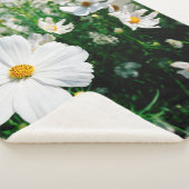 庭園内に咲く美しい白いコスモスの花 シェルパブランケット (3/4)