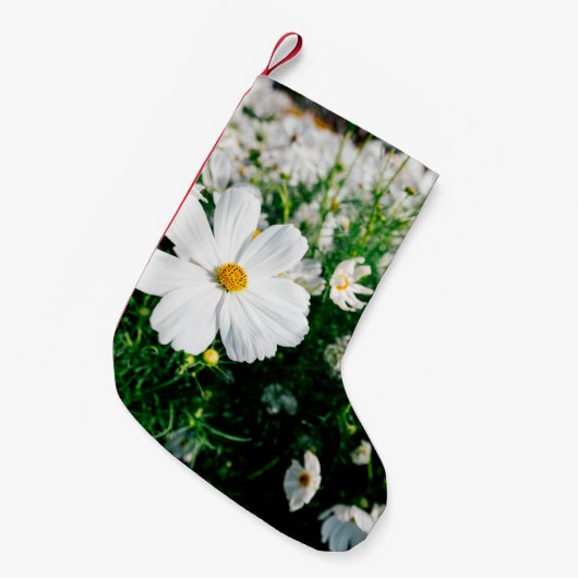 庭園内に咲く美しい白いコスモスの花 スモールクリスマスストッキング (正面 (吊り時))