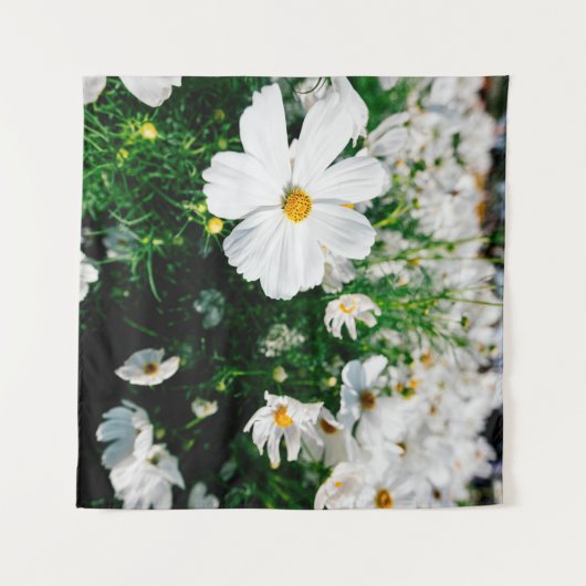 庭園内に咲く美しい白いコスモスの花 タペストリー (正面(横))