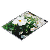 庭園内に咲く美しい白いコスモスの花 ノートブック (左側)