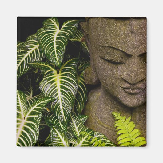 庭園内の彫像の場所情報：チェンマ マグネット (正面)