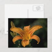 庭園喜びのポストカード ポストカード (正面/裏面)