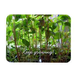 庭園愛好家保栽培植物 マグネット