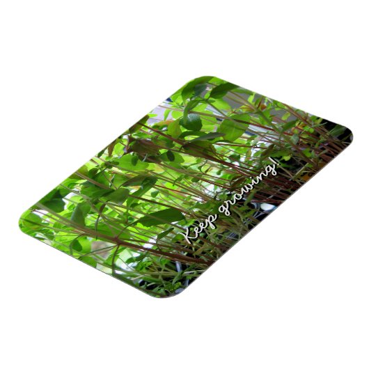 庭園愛好家保栽培植物 マグネット (左側)