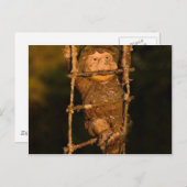 庭園格言 ポストカード (正面/裏面)