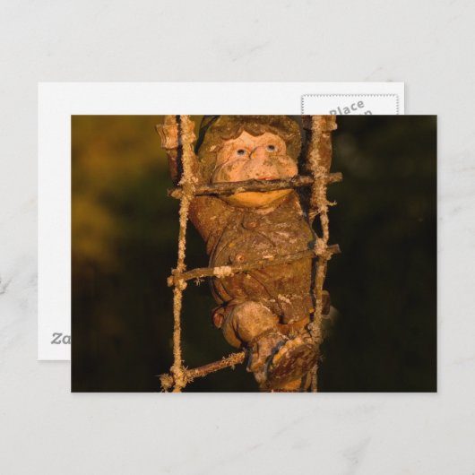 庭園格言 ポストカード (正面/裏面)