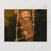 庭園格言 ポストカード (正面)