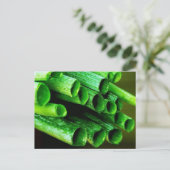 庭園栽培のネックス ポストカード (スタンド正面)