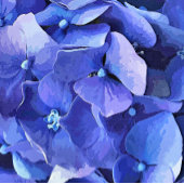 庭園花 ポスター