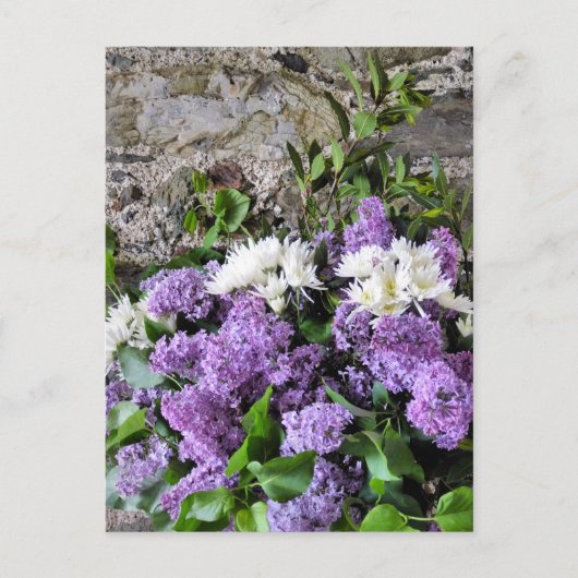 庭園花 ポストカード (正面)