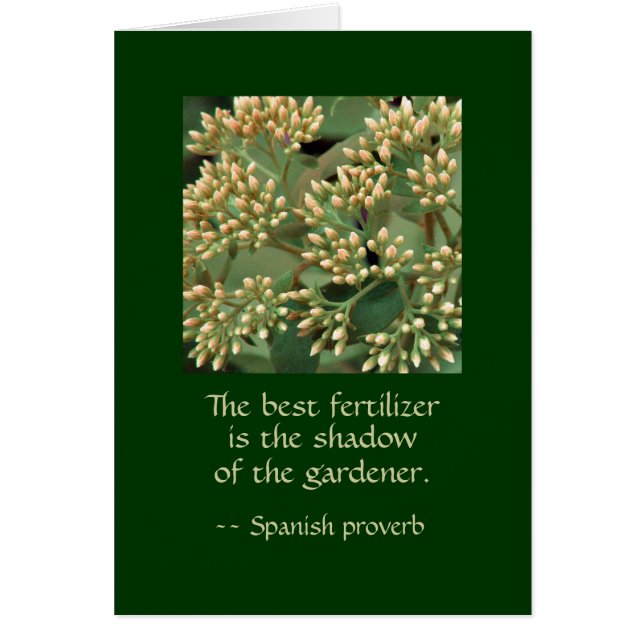 庭師の最も最高のな肥料の影。 GIのBB (正面)