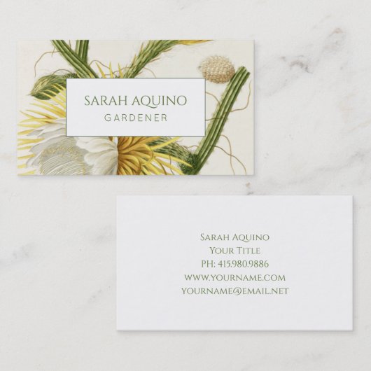 庭師の開花サボテン 名刺 (正面/裏面)