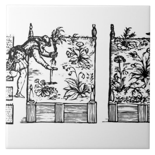 、「庭師のLabyからの上げられたベッドで植わります タイル (正面)