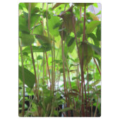 庭師は成長する植物を保ちます クリップボード (裏面)