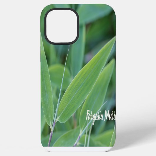 庭師へのギフトに最適なファルゲシア・ムリエラエの竹 iPhoneケース (裏面)