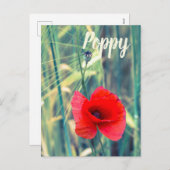 庭師や花好きの贈り物のためのケシの花 シーズンポストカード (正面/裏面)
