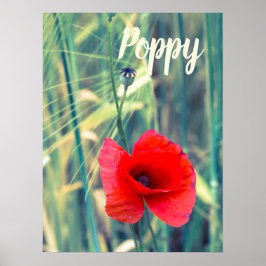 庭師や花好きの贈り物のためのケシの花 ポスター