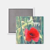 庭師や花好きの贈り物のためのケシの花 マグネット (正面/裏面)