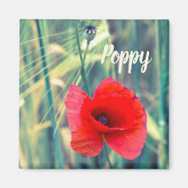 庭師や花好きの贈り物のためのケシの花 マグネット