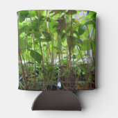 庭師保育植物 缶クーラー (裏面)