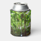 庭師保育植物 缶クーラー (缶裏面)