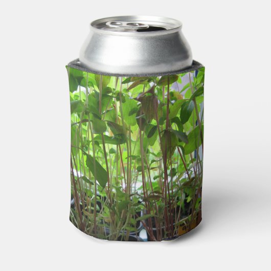 庭師保育植物 缶クーラー (缶裏面)