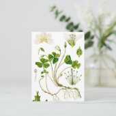 庭師 ポストカード (スタンド正面)