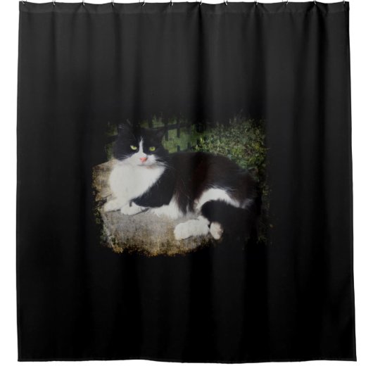 庭猫のシャワー・カーテンの女王 シャワーカーテン (正面)