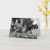 庭猫のブランクのお祝いカード カード (黄色い花)