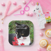 庭素晴らしに現れるタキシード猫 ペーパープレート (パーティー)